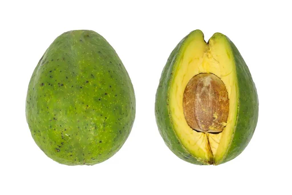 A whole avocado and a halved avocado with its seed, on a white background