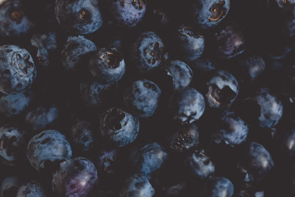 Close-up of fresh blueberries