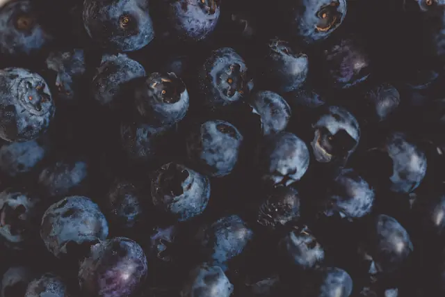 Close-up of fresh blueberries