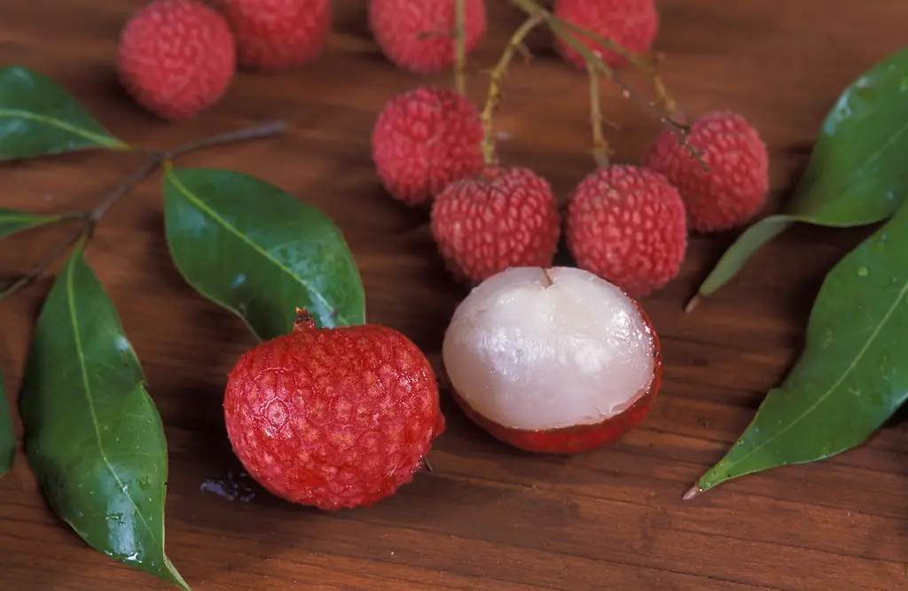 Fresh red lychees with leaves, one peeled to show the white translucent flesh