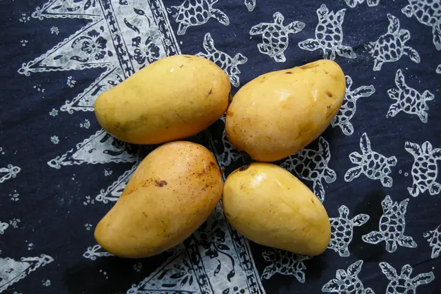 Four ripe mangoes on a printed cloth
