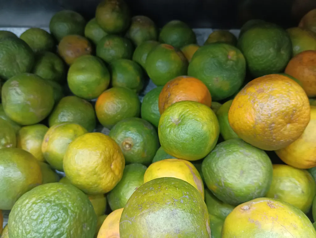 Nagpur oranges at a market, some still green and some turned orange