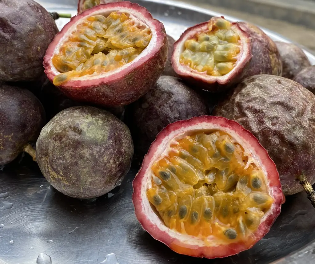 Purple passion fruits, whole and cut open to show yellow pulp and seeds, on a silver tray