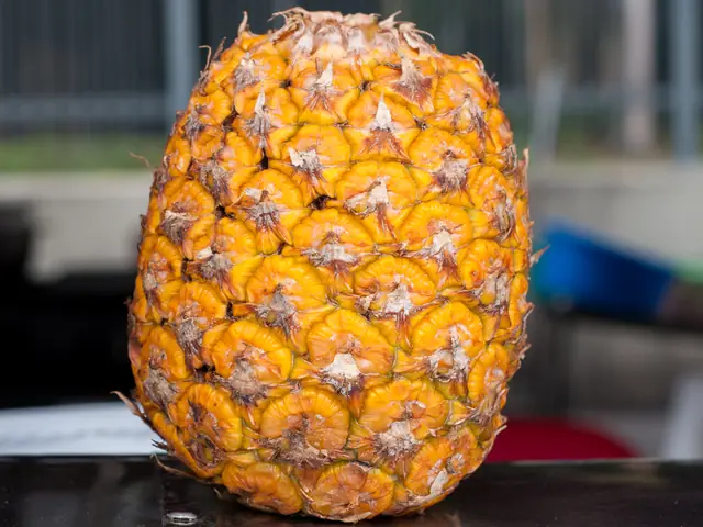 A whole ripe pineapple