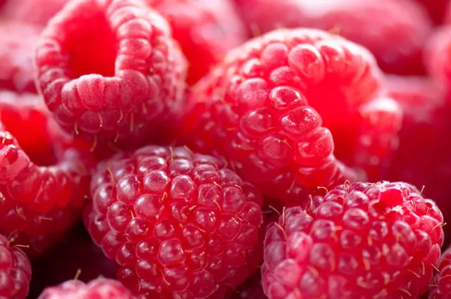 Close-up of fresh raspberries