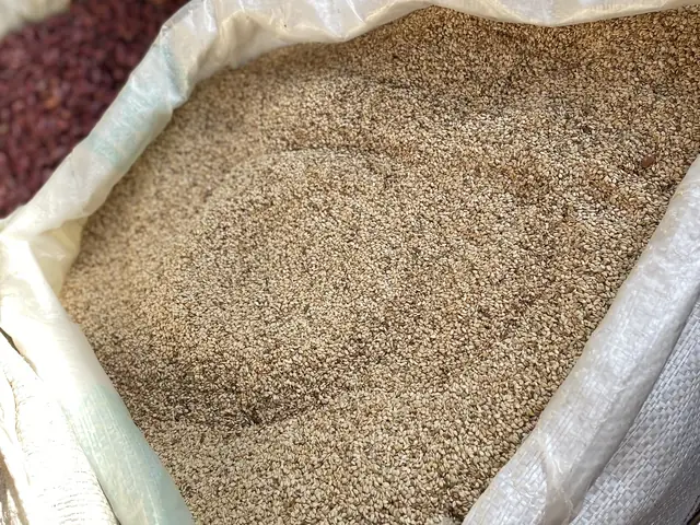 Sesame seeds in an open sack